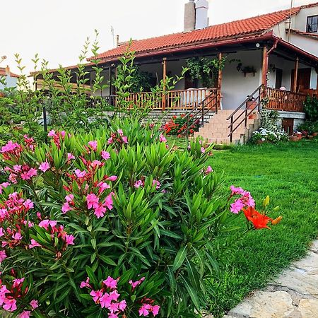 فيلا Ivonnis Garden Mesimvria  المظهر الخارجي الصورة