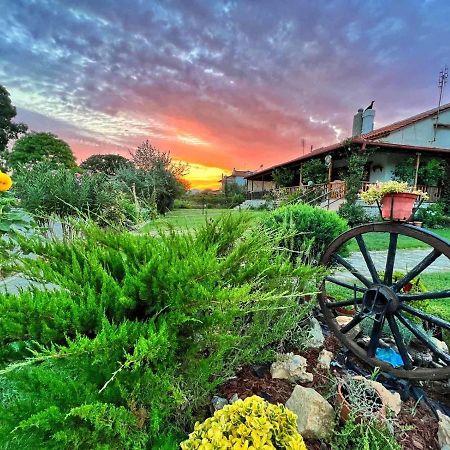 فيلا Ivonnis Garden Mesimvria  المظهر الخارجي الصورة