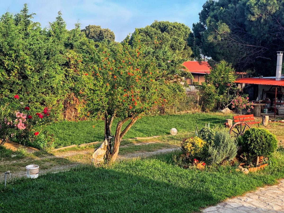 فيلا Ivonnis Garden Mesimvria  المظهر الخارجي الصورة