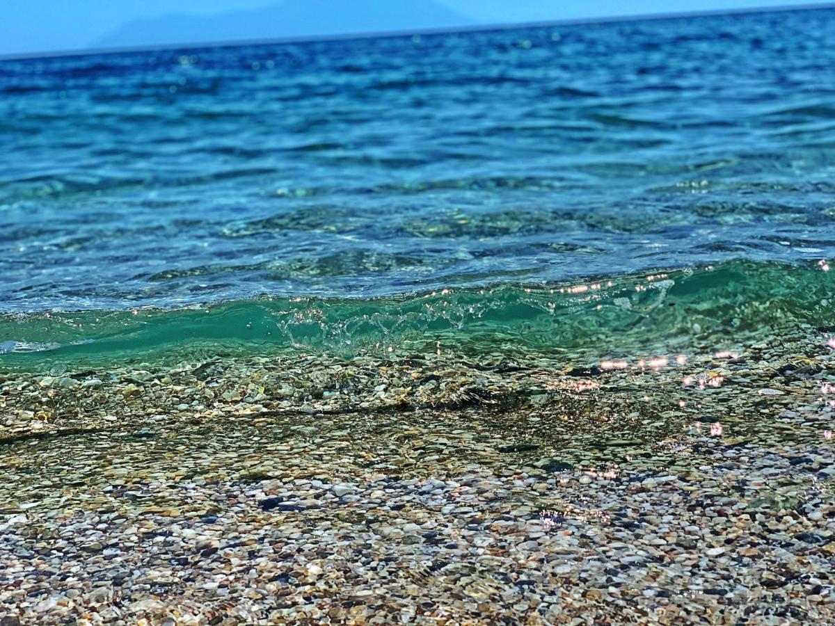 فيلا Ivonnis Garden Mesimvria  المظهر الخارجي الصورة