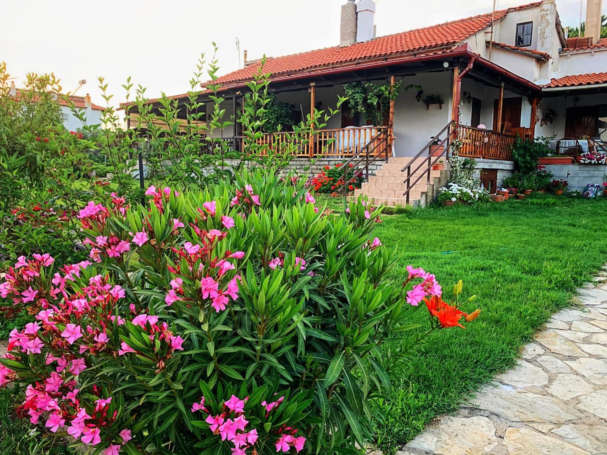 فيلا Ivonnis Garden Mesimvria  المظهر الخارجي الصورة