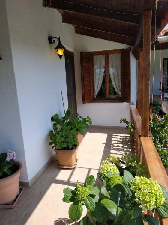فيلا Ivonnis Garden Mesimvria  المظهر الخارجي الصورة