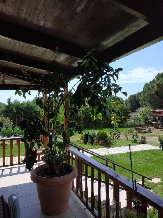 فيلا Ivonnis Garden Mesimvria  المظهر الخارجي الصورة