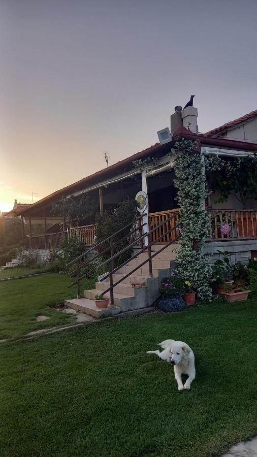فيلا Ivonnis Garden Mesimvria  المظهر الخارجي الصورة