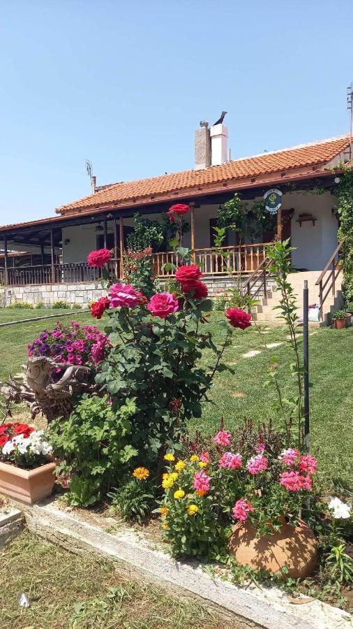 فيلا Ivonnis Garden Mesimvria  المظهر الخارجي الصورة