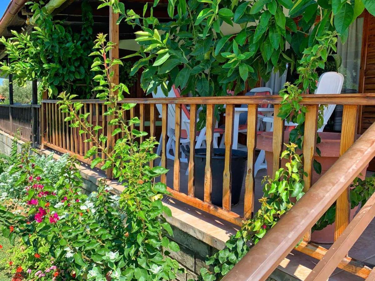 فيلا Ivonnis Garden Mesimvria  المظهر الخارجي الصورة