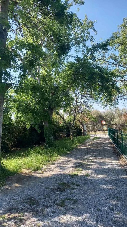 فيلا Ivonnis Garden Mesimvria  المظهر الخارجي الصورة