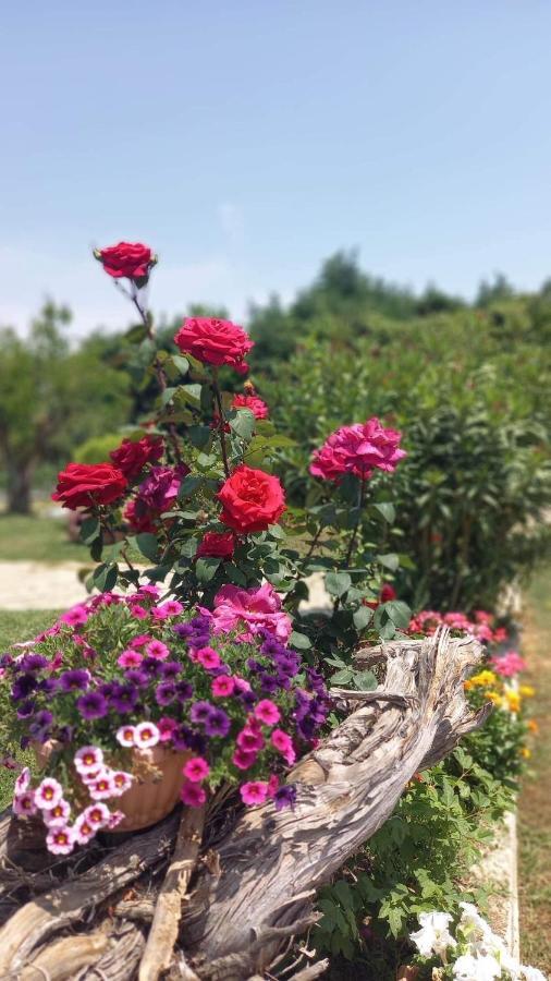 فيلا Ivonnis Garden Mesimvria  المظهر الخارجي الصورة