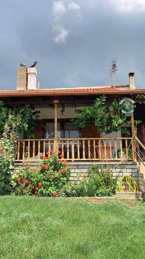 فيلا Ivonnis Garden Mesimvria  المظهر الخارجي الصورة