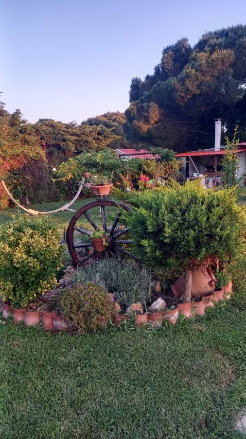 فيلا Ivonnis Garden Mesimvria  المظهر الخارجي الصورة