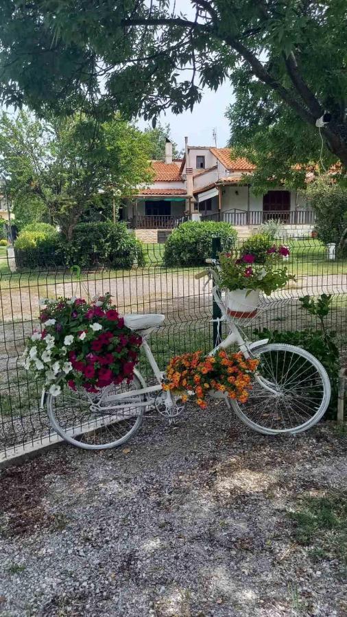 فيلا Ivonnis Garden Mesimvria  المظهر الخارجي الصورة