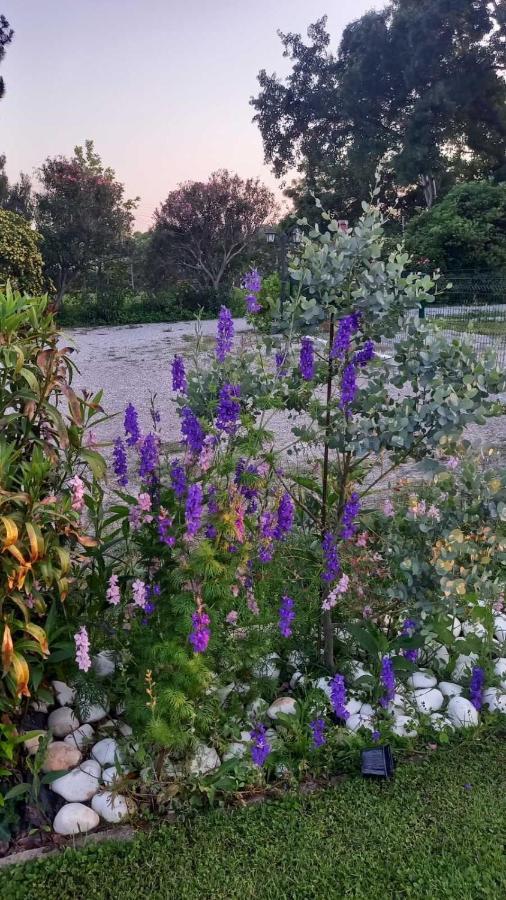 فيلا Ivonnis Garden Mesimvria  المظهر الخارجي الصورة